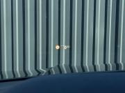 BMW X5 IV (G05/G18) Санкт-Петербург  - изображение 43