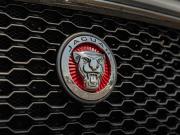 Jaguar F-Pace I Краснодар  - изображение 38