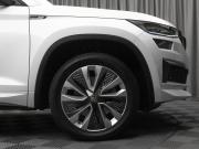 Skoda Kodiaq I Рестайлинг Москва  - изображение 64
