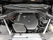 BMW X3 III (G01) Москва  - изображение 39