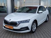 Skoda Octavia IV (A8) Екатеринбург  - изображение 29