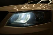 Skoda Octavia III (A7) Крым  - изображение 49