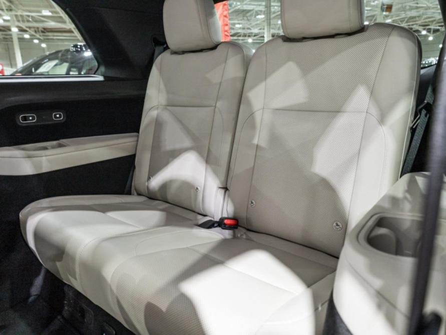 Li Auto (Lixiang) L9 I Санкт-Петербург  - изображение 14