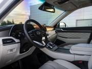Hyundai Palisade I Москва  - изображение 31