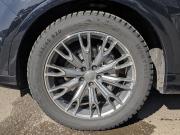 Audi Q7 II (4M) Москва  - изображение 48