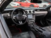 Ford Mustang VI Рестайлинг Сочи  - изображение 34