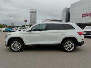 Skoda Kodiaq I Казань  - изображение 32