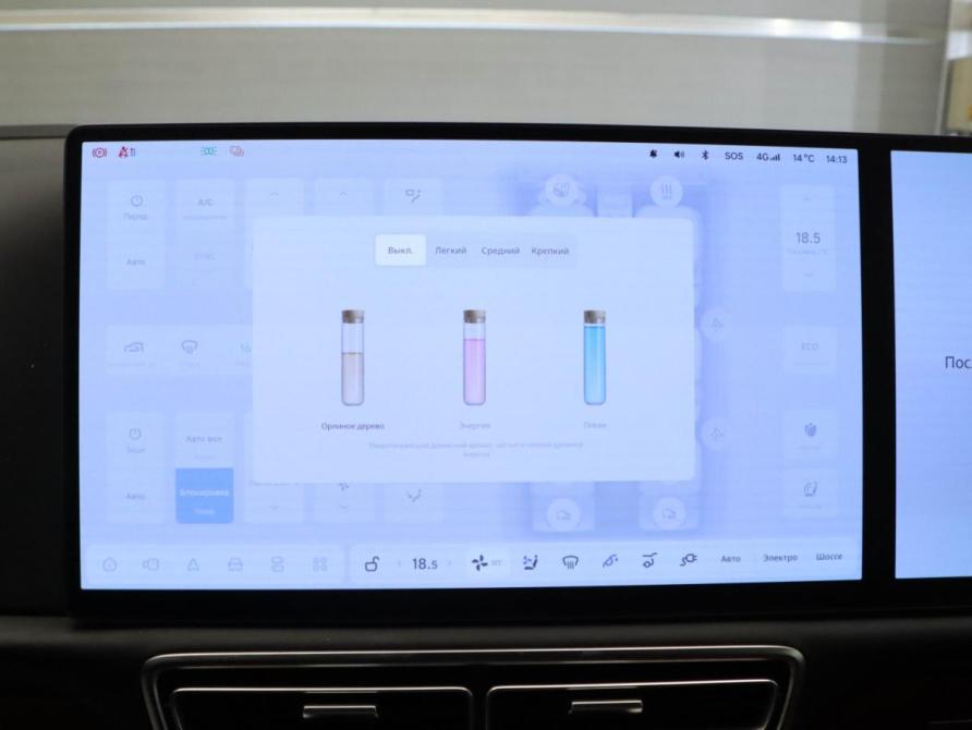 Li Auto (Lixiang) L9 I Рестайлинг Москва  - изображение 20