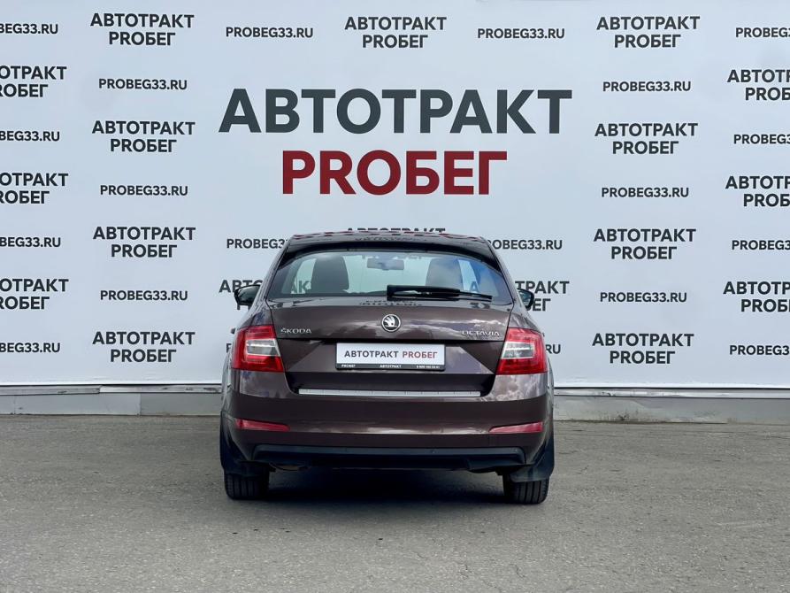 Skoda Octavia III (A7) Владимир  - изображение 6
