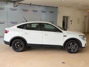 Renault Arkana I Москва  - изображение 21