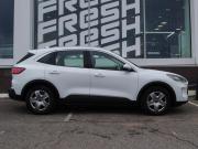 Ford Kuga III Владимир  - изображение 33