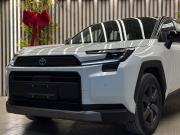 Toyota RAV4 VI (XA60) Уфа  - изображение 49