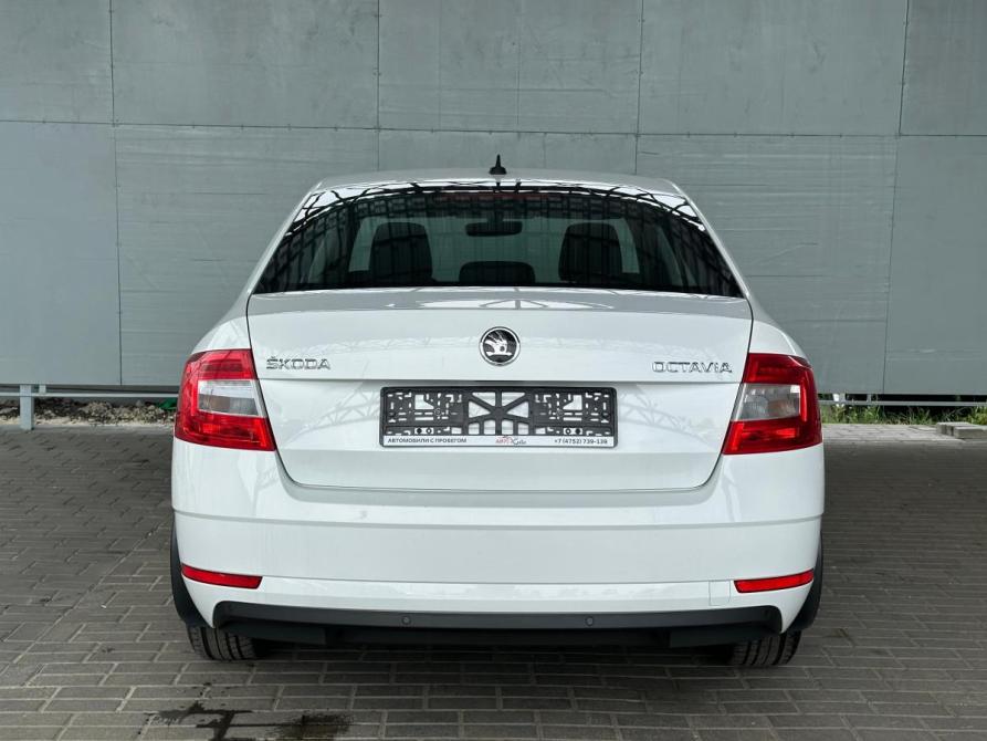 Skoda Octavia III (A7) Рестайлинг Тамбов  - изображение 7