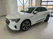 Audi e-tron I Владимир  - изображение 23