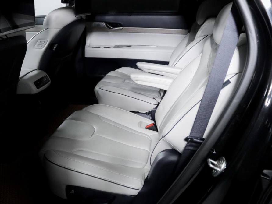 Hyundai Palisade I Москва  - изображение 10