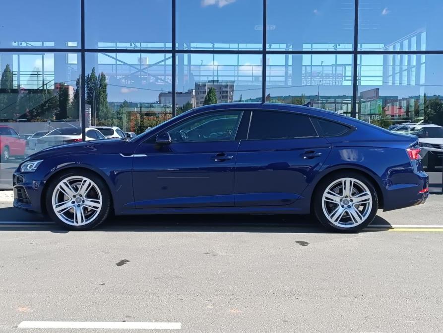 Audi A5 II (F5) Оренбург  - изображение 9