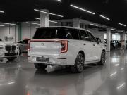 GAC Trumpchi S9 Москва  - изображение 39
