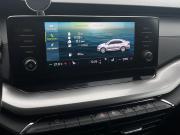 Skoda Octavia IV (A8) Ярославль  - изображение 34