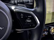 Jaguar F-Pace I Рестайлинг Москва  - изображение 59