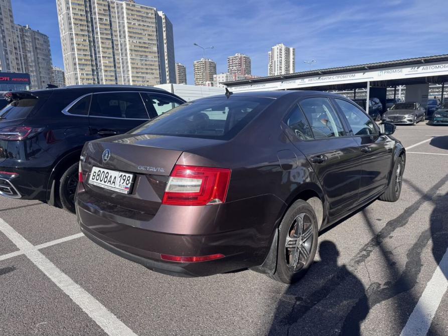Skoda Octavia III (A7) Рестайлинг Санкт-Петербург  - изображение 2