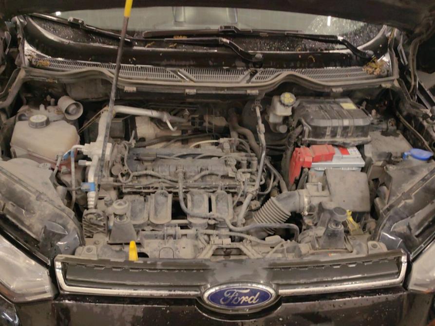 Ford EcoSport II Санкт-Петербург  - изображение 12