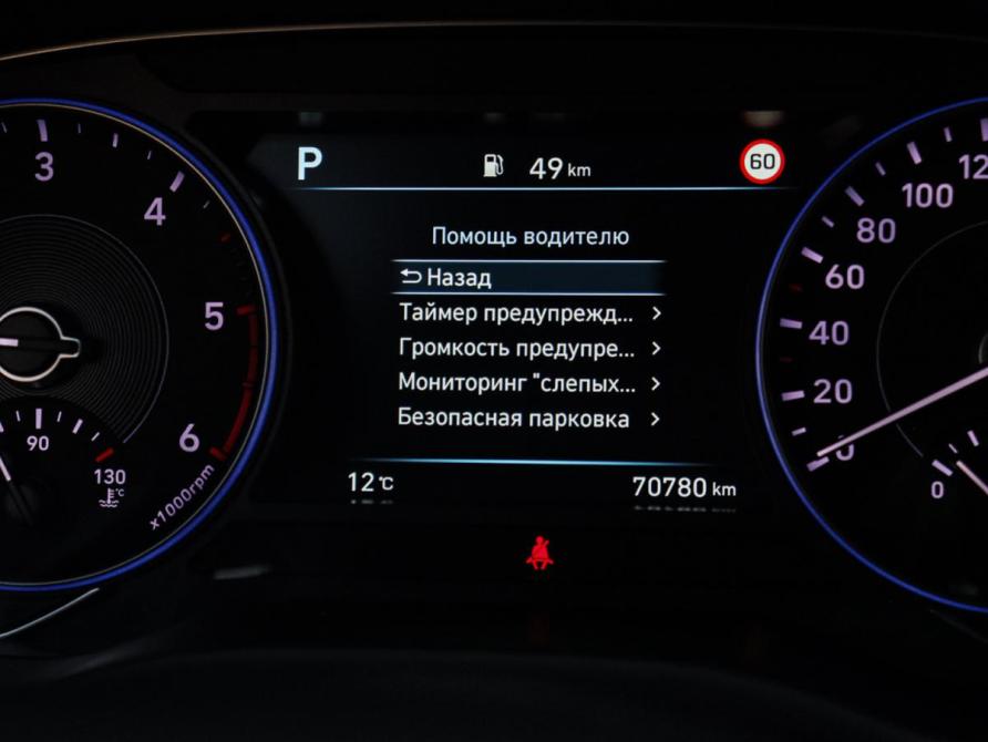 Hyundai Palisade I Москва  - изображение 28