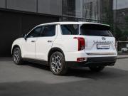 Hyundai Palisade I Москва  - изображение 43
