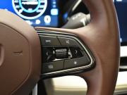 Geely Monjaro I Москва  - изображение 59