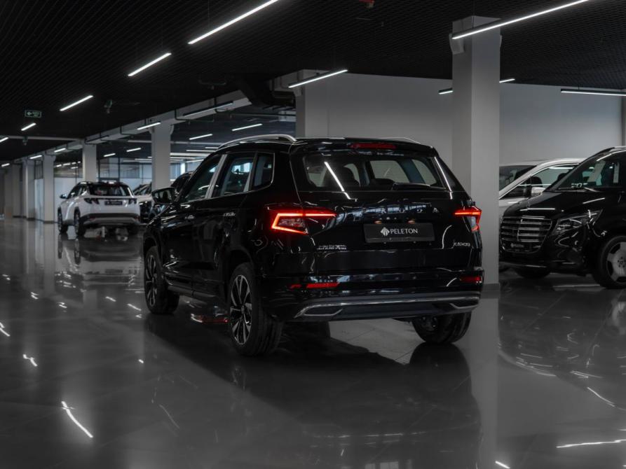 Skoda Karoq I Москва  - изображение 4