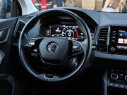 Skoda Karoq I Москва  - изображение 38