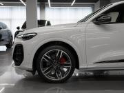 Audi Q5 III (GU) Москва  - изображение 65