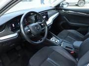 Skoda Octavia IV (A8) Москва  - изображение 38