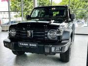 Tank 300 I Тольятти  - изображение 21