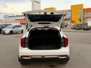 Haval Jolion I Сыктывкар  - изображение 34