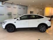 Renault Arkana I Москва  - изображение 25