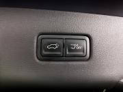 Kia Carnival IV Москва  - изображение 59