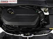 Ford Kuga II Белгород  - изображение 36