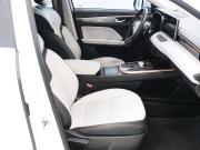 Haval Jolion I Самара  - изображение 40