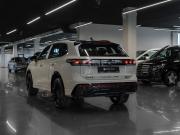 Volkswagen Tiguan III (China Market) Москва  - изображение 31