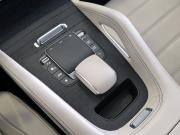 Mercedes-Benz GLE II (V167) Новосибирск  - изображение 48