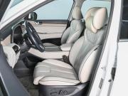 Hyundai Palisade I Ростов-на-Дону  - изображение 35