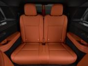 Li Auto (Lixiang) L9 I Рестайлинг Москва  - изображение 67