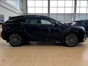 Lexus RX V Челябинск  - изображение 28