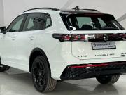 Volkswagen Tiguan III (China Market) Воронеж  - изображение 25