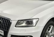 Audi Q5 I (8R) Рестайлинг Нижний Новгород  - изображение 42