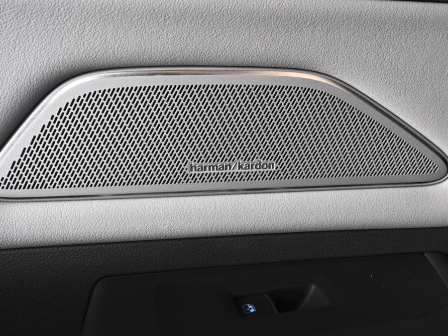 Volkswagen Tavendor I Ростов-на-Дону  - изображение 22
