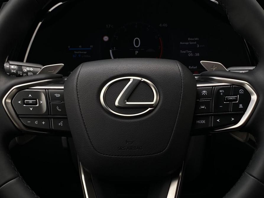 Lexus RX V Челябинск  - изображение 23