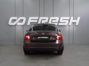 Skoda Octavia III (A7) Рестайлинг Воронеж  - изображение 19