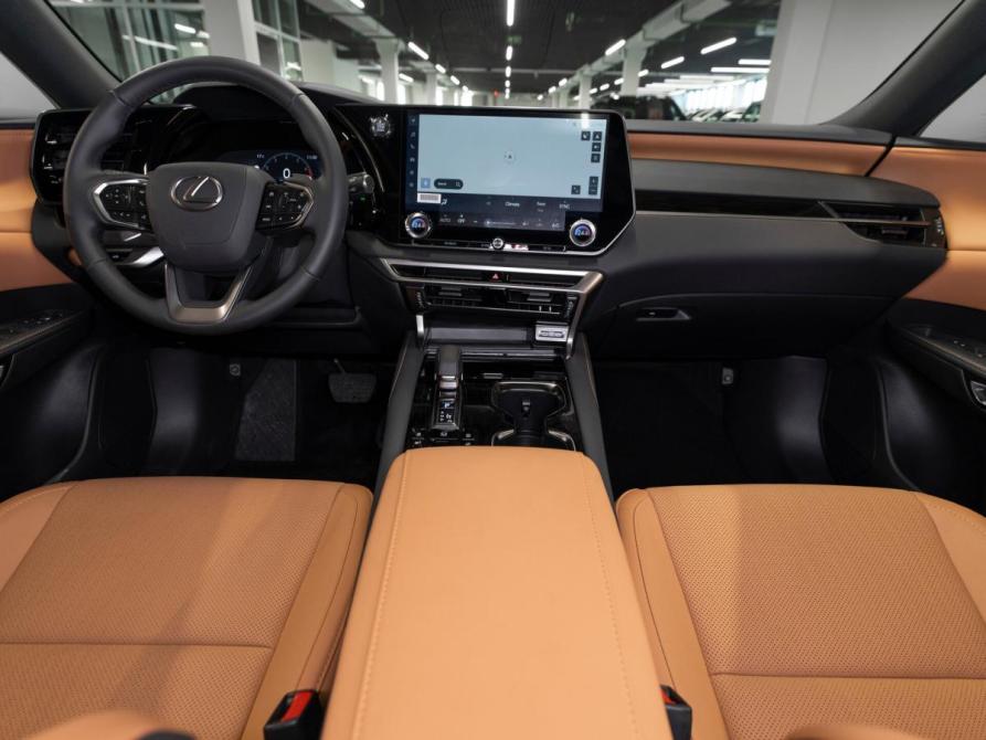 Lexus RX V Москва  - изображение 8