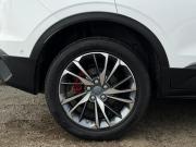 Belgee X50 Набережные Челны  - изображение 42